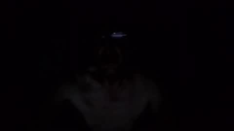 kobolt67 online show from 10-09-25, 04:54