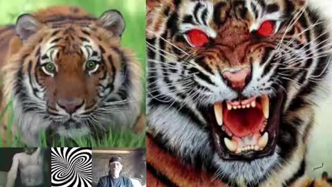 Snapshot of kodiakpm1 chatting on 12-03-24, 08:38 kodiakpm1 online show from 12-03-24, 08:38