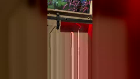 korysmith568 online show from 02-20-26, 03:25