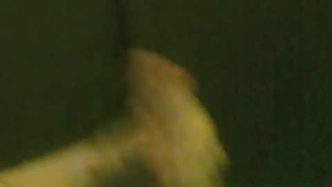 kren565656 online show from 09-21-25, 10:06