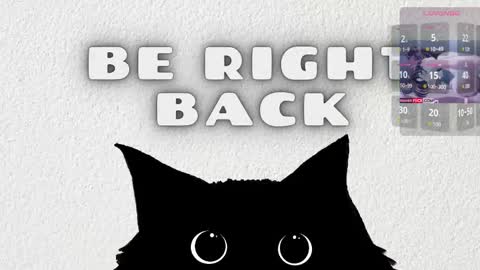   online show from 02-19-26, 03:24