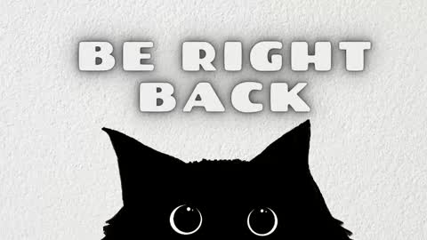   online show from 03-16-26, 04:29