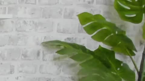 Snapshot of kristinesmith chatting on 12-15-24, 09:45 Kristi online show from 12-15-24, 09:45