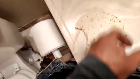 kumnnkevsuks4 online show from 01-16-25, 08:14