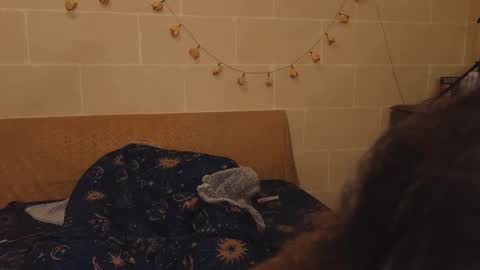 Krypto hethey online show from 10-28-25, 10:56