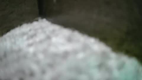 kvicali online show from 04-06-26, 01:36