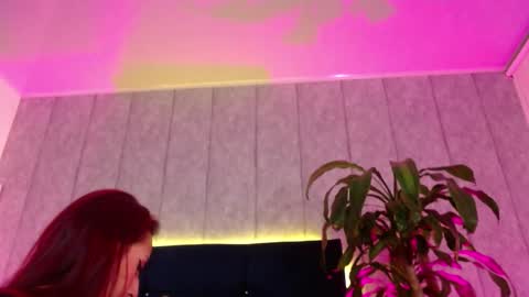 kytty_gatita online show from 12-16-25, 05:34