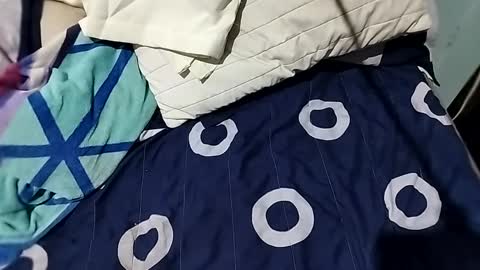 Snapshot of l0c0fundias chatting on 09-13-25, 07:08 l0c0fundias online show from 09-13-25, 07:08