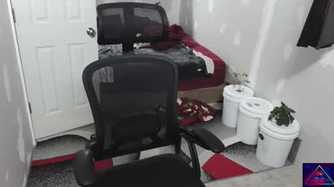 l1v1nth3dr3am online show from 11-10-25, 09:41