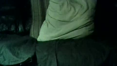 Snapshot of l_a_d_y chatting on 02-08-26, 01:31 pelle and lady online show from 02-08-26, 01:31