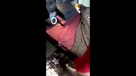 labestiareconoseme44420 online show from 03-08-26, 07:45