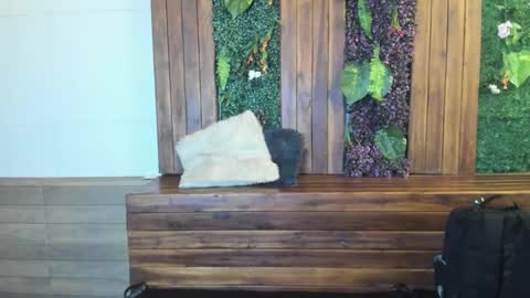 labrinthteasing online show from 03-02-26, 12:23