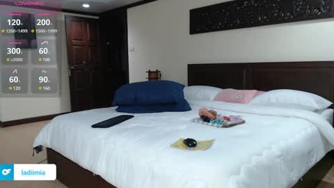 Snapshot of ladii_mia chatting on 12-04-24, 10:30 Mia online show from 12-04-24, 10:30