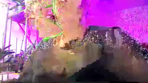 Lady Gloria online show from 10-25-25, 07:38