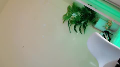 Stella online show from 09-27-25, 11:32