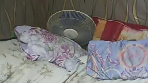 Snapshot of ladyxsnakes chatting on 02-07-25, 06:24 LadyXSnakes online show from 02-07-25, 06:24