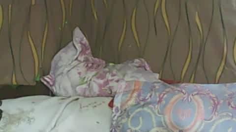 Snapshot of ladyxsnakes chatting on 02-11-25, 06:08 LadyXSnakes online show from 02-11-25, 06:08