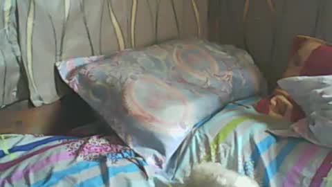 Snapshot of ladyxsnakes chatting on 02-19-25, 07:39 LadyXSnakes online show from 02-19-25, 07:39