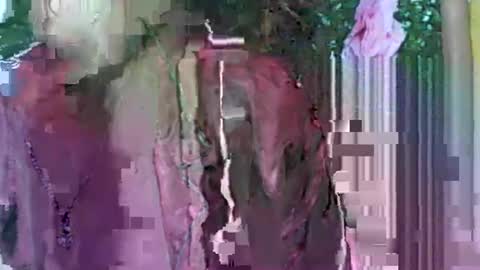 Snapshot of ladyxsnakes chatting on 09-21-25, 04:03 LadyXSnakes online show from 09-21-25, 04:03