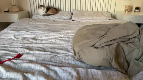 Snapshot of lana_inked chatting on 02-05-25, 02:16 Lana online show from 02-05-25, 02:16