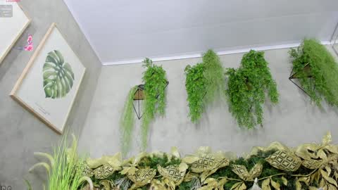 lana_lann online show from 12-20-24, 11:54