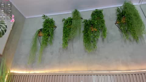 lana_lann online show from 01-10-25, 05:56