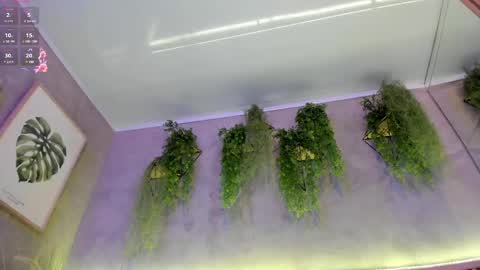 lana_lann online show from 02-27-25, 01:38