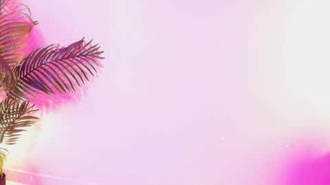 LANA online show from 03-29-26, 03:50