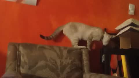 Snapshot of lanasexyass chatting on 03-23-26, 08:02 lanasexyass online show from 03-23-26, 08:02