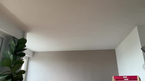 Snapshot of lanimalr chatting on 10-03-25, 08:00 Lanimal online show from 10-03-25, 08:00