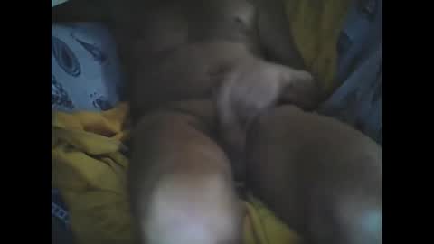 Larop49 online show from 10-06-25, 05:16