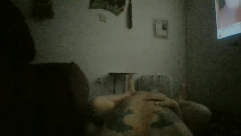 lasrgarza5150 online show from 06-25-26, 04:33