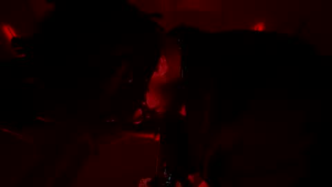 latex__buddy online show from 03-03-26, 10:43