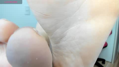 Snapshot of latin__curly chatting on 12-12-24, 06:31 Afrodita online show from 12-12-24, 06:31