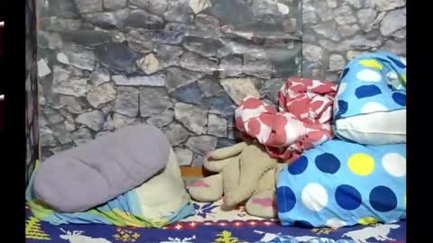 Snapshot of latin_hornycouple chatting on 01-28-25, 05:11 latin_hornycouple online show from 01-28-25, 05:11