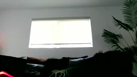 Bonnie and Clymax online show from 10-12-25, 10:42