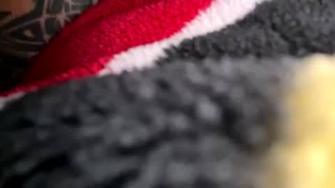 Snapshot of latn_73 chatting on 11-16-25, 08:58 Mexakin online show from 11-16-25, 08:58