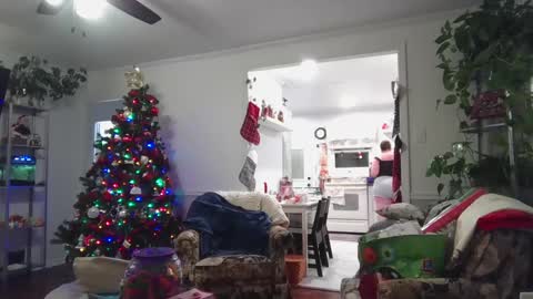 Snapshot of laulauma chatting on 12-23-24, 04:33 LauLauMa online show from 12-23-24, 04:33