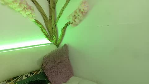     online show from 06-11-26, 12:14