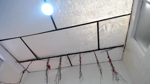 LAURA online show from 03-23-26, 03:38