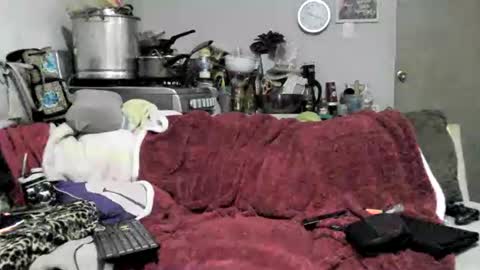 Snapshot of lauradecuada2 chatting on 02-08-26, 04:38 lauradecuada2 online show from 02-08-26, 04:38