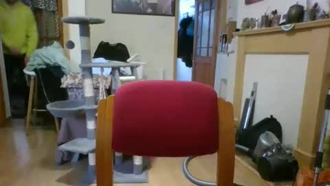 Snapshot of lauratedomm chatting on 03-08-26, 04:00 lauratedomm online show from 03-08-26, 04:00