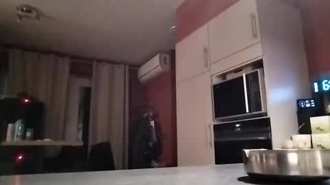 Snapshot of law9102 chatting on 12-16-25, 05:45 Law online show from 12-16-25, 05:45