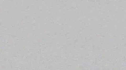 Snapshot of layana_poison chatting on 02-19-26, 06:48 Layana online show from 02-19-26, 06:48