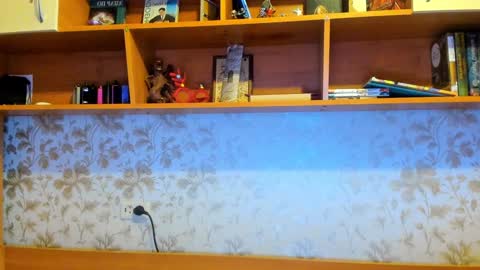 Vladi online show from 12-29-24, 09:17