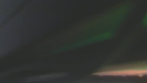 leowolf online show from 12-08-24, 06:50