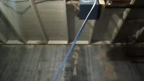 leo199984 online show from 11-25-25, 03:39