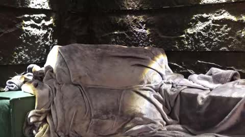 Snapshot of leo_diaz01 chatting on 11-30-25, 03:54 Leo Diaz online show from 11-30-25, 03:54