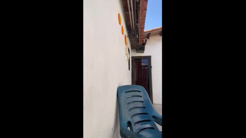 Snapshot of leo_latino1 chatting on 03-09-26, 06:56 leo_latino1 online show from 03-09-26, 06:56