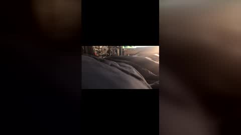 Leon online show from 03-01-26, 07:05